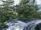2022 Mitsubishi Outlander Black Edition