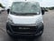 2023 RAM ProMaster 2500 Cargo Van High Roof 136" WB