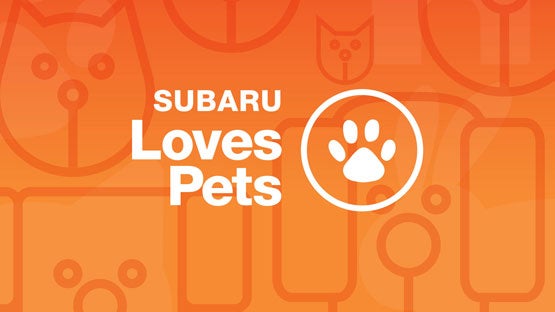 Romain Subaru in Evansville IN