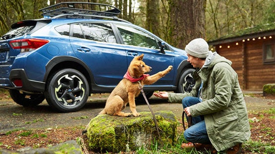 Romain Subaru in Evansville IN