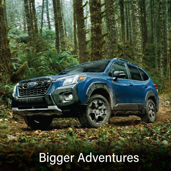 A blue Subaru outback wilderness with the words &ldquo;Bigger Adventures&ldquo;. | Romain Subaru in Evansville IN